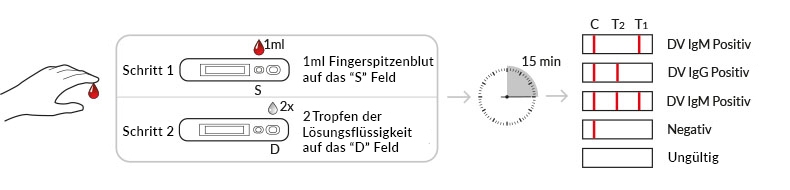 Testablauf Dengue